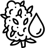 True Flavor, Unfiltered